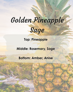 Golden Pineapple Sage