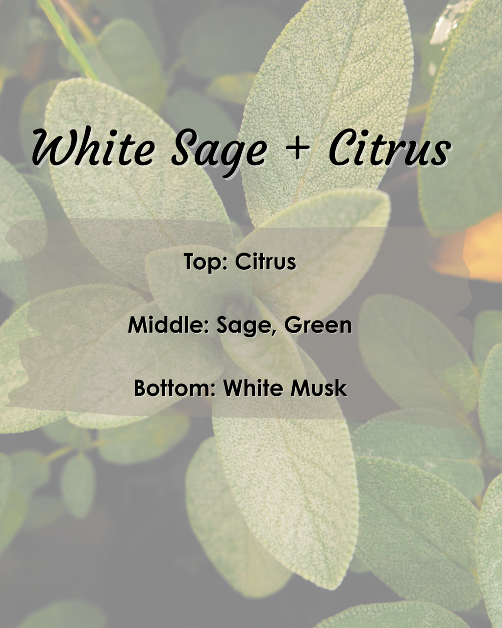 White Sage & Citrus