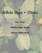 White Sage & Citrus