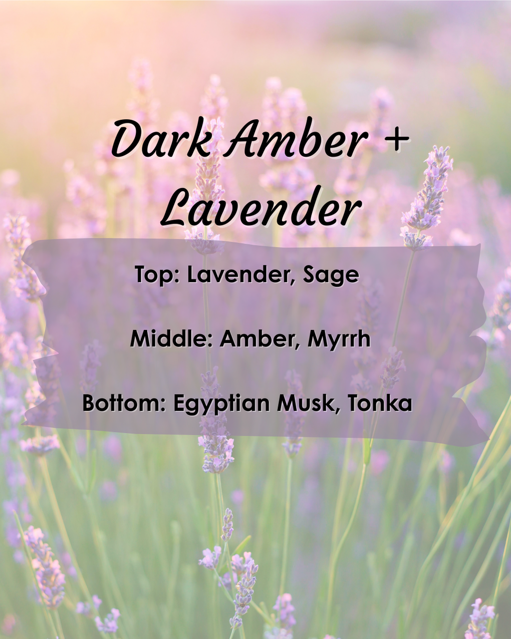Dark Amber + Lavender