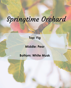 Springtime Orchard