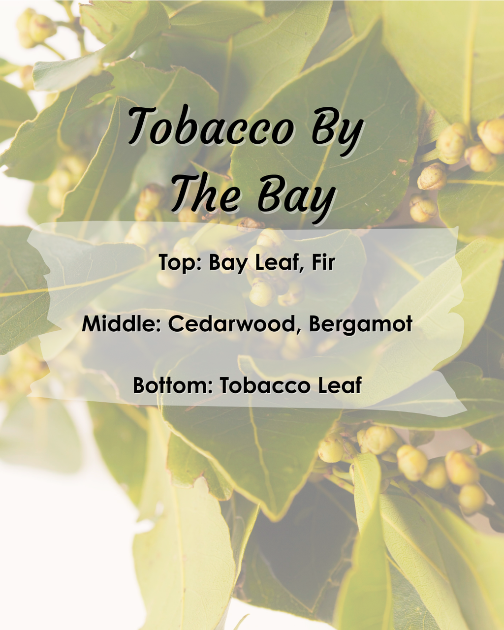 Tobacco by the Bay