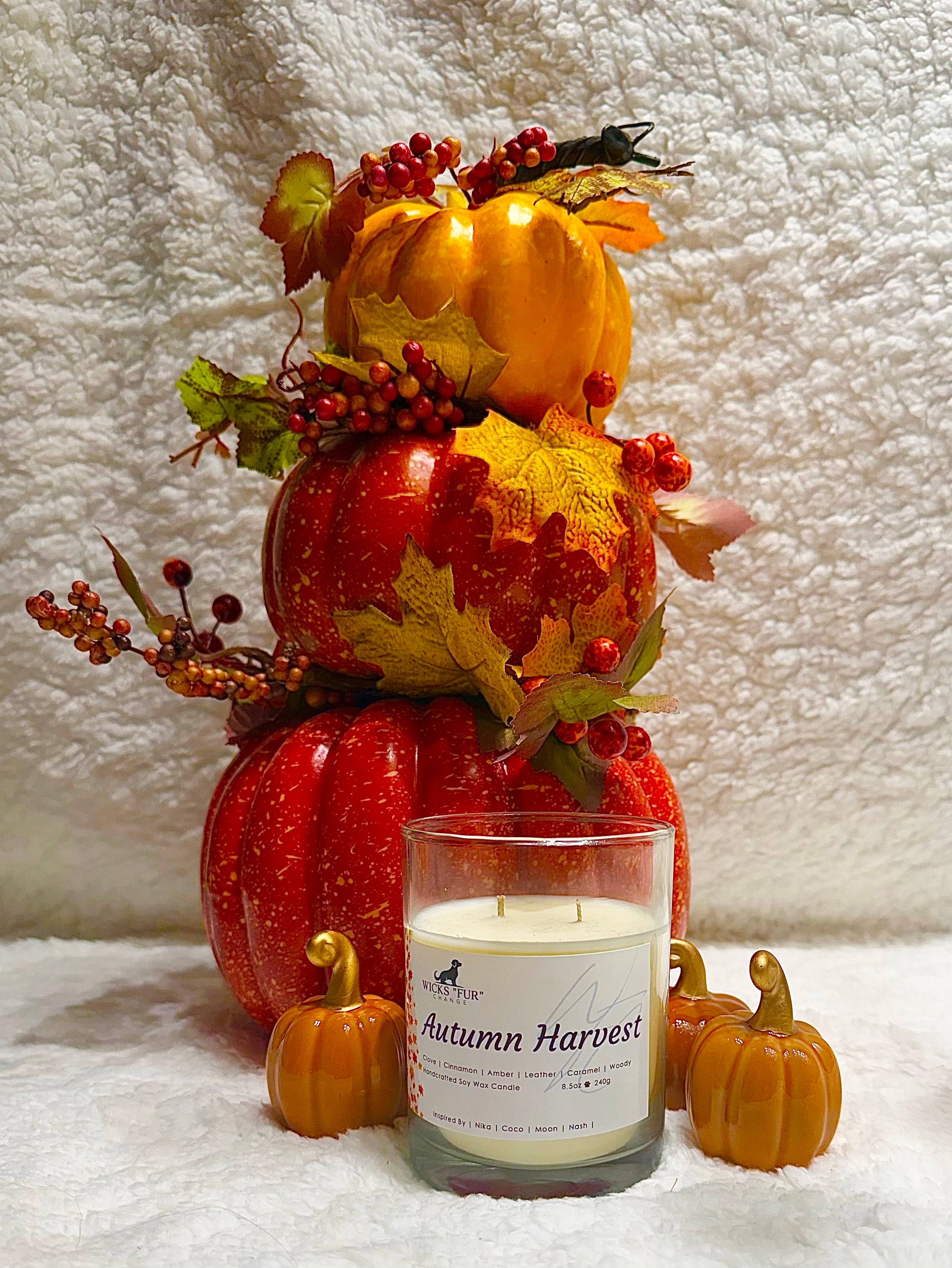 Autumn Harvest