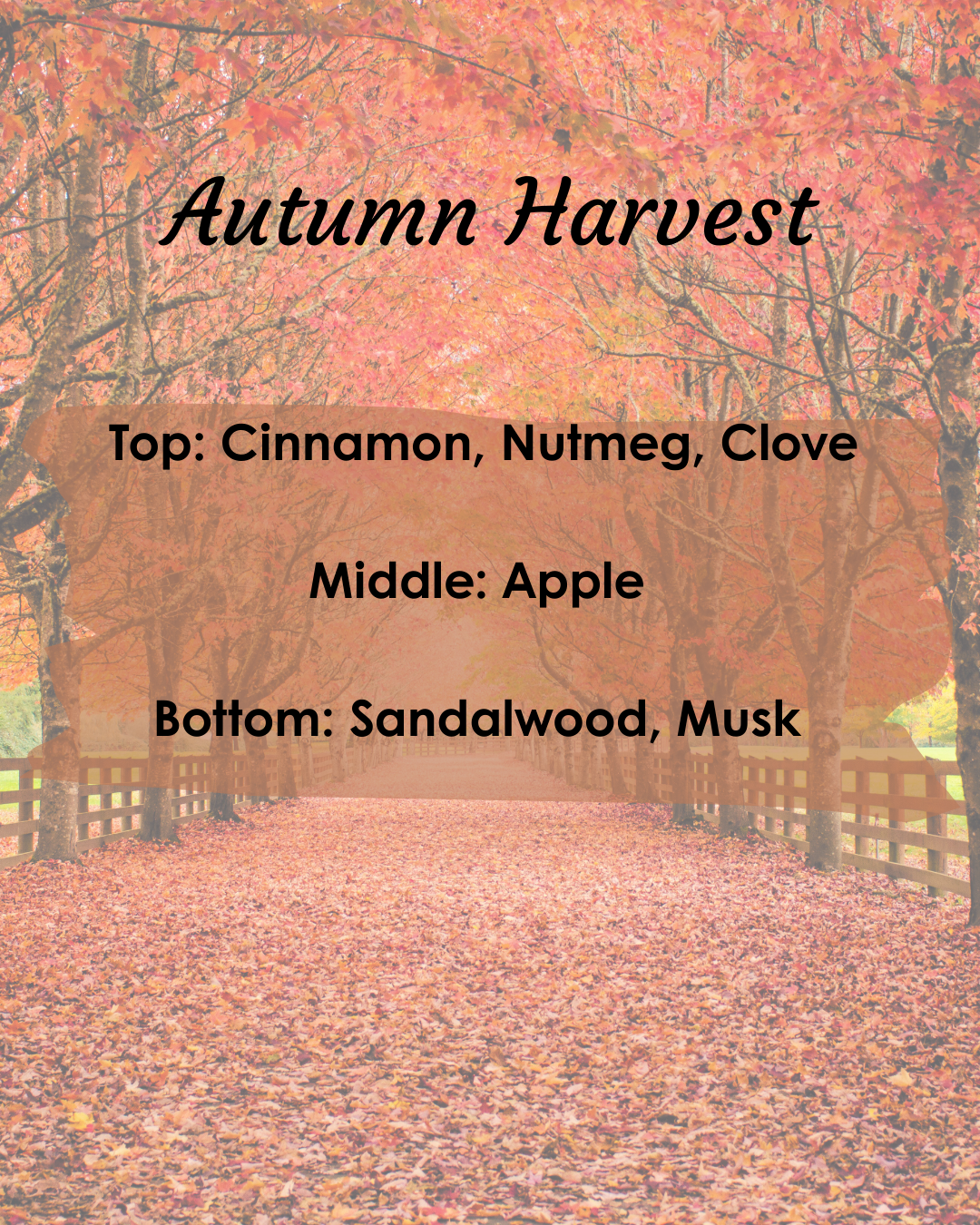 Autumn Harvest