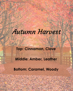 Limited Edition: Pumpkin Candle - 5 oz
