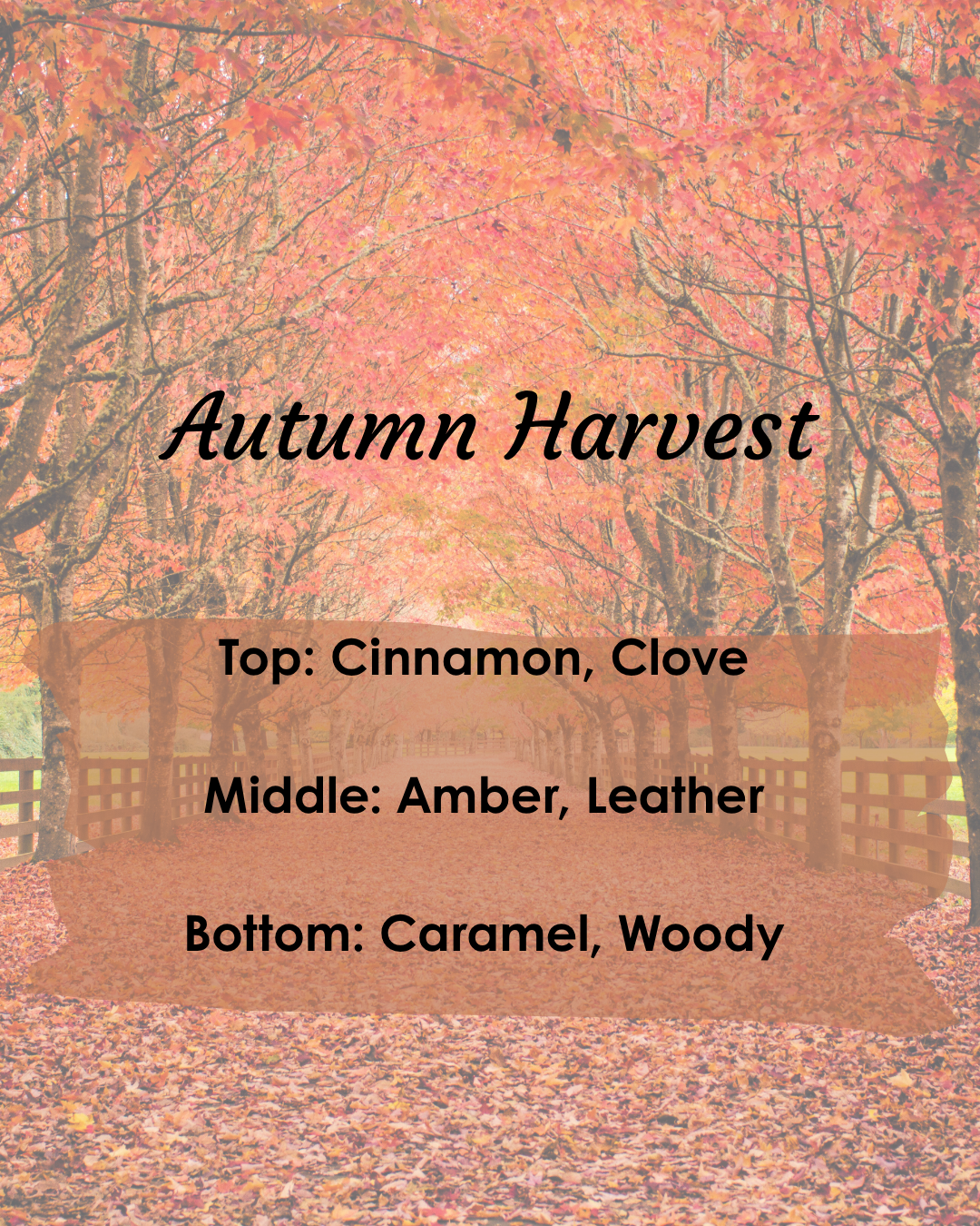 Autumn Harvest