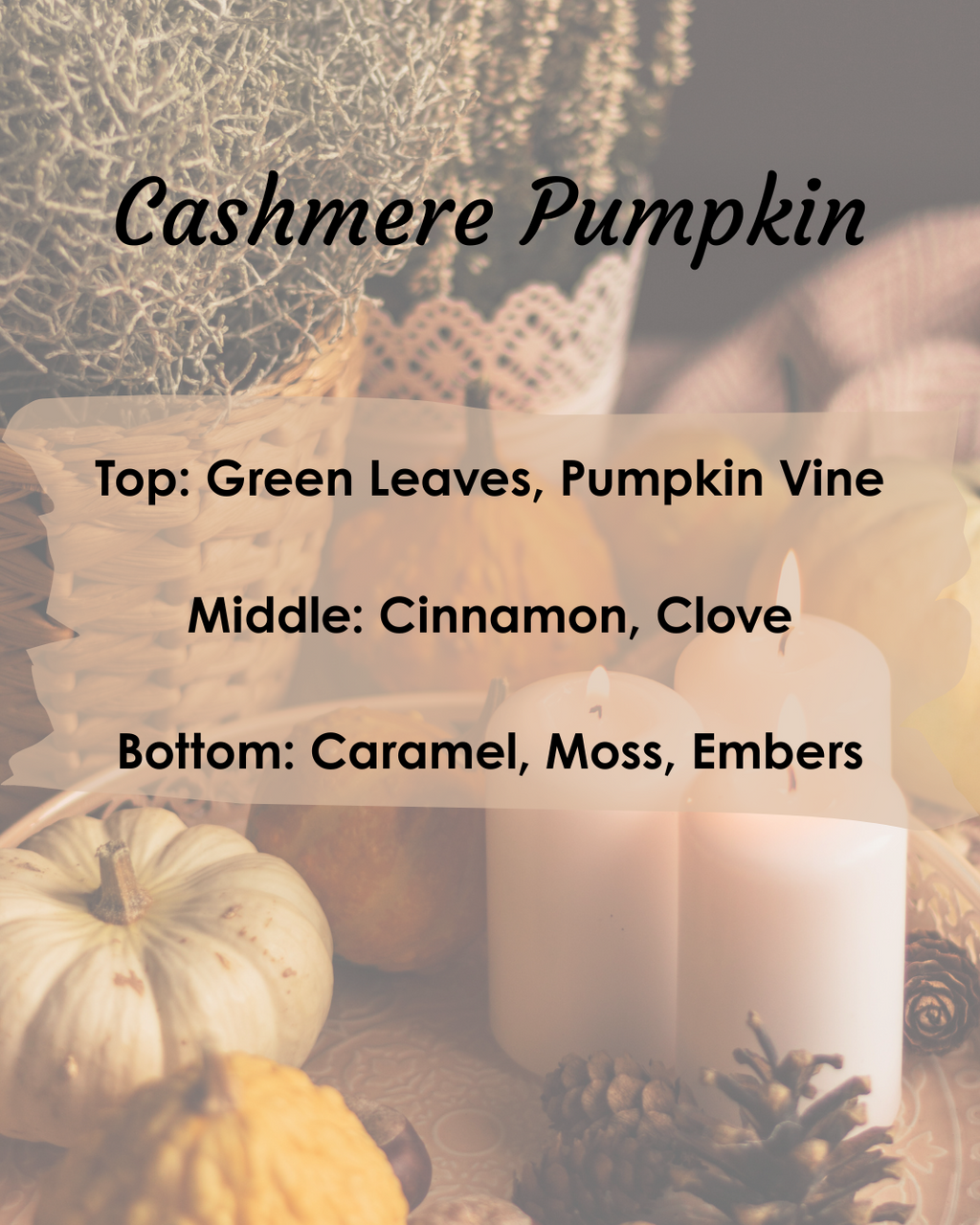 Cashmere Pumpkin