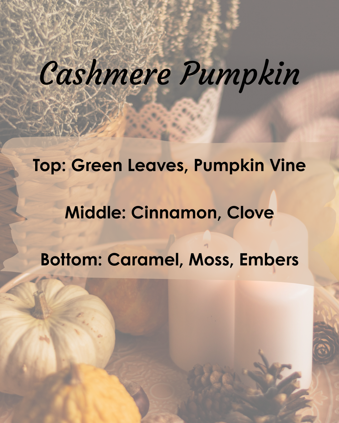 Cashmere Pumpkin