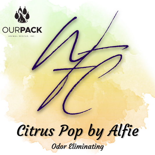Citrus Pop by Alfie Candle - 8.5 oz.