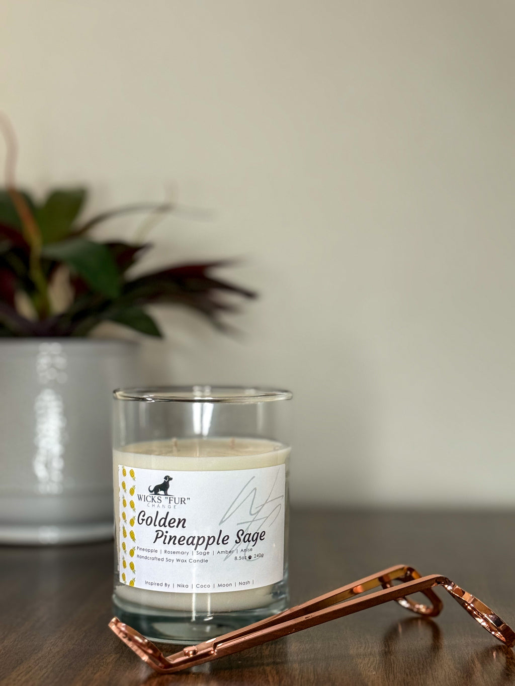 Golden Pineapple Sage