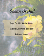 Ocean Orchid