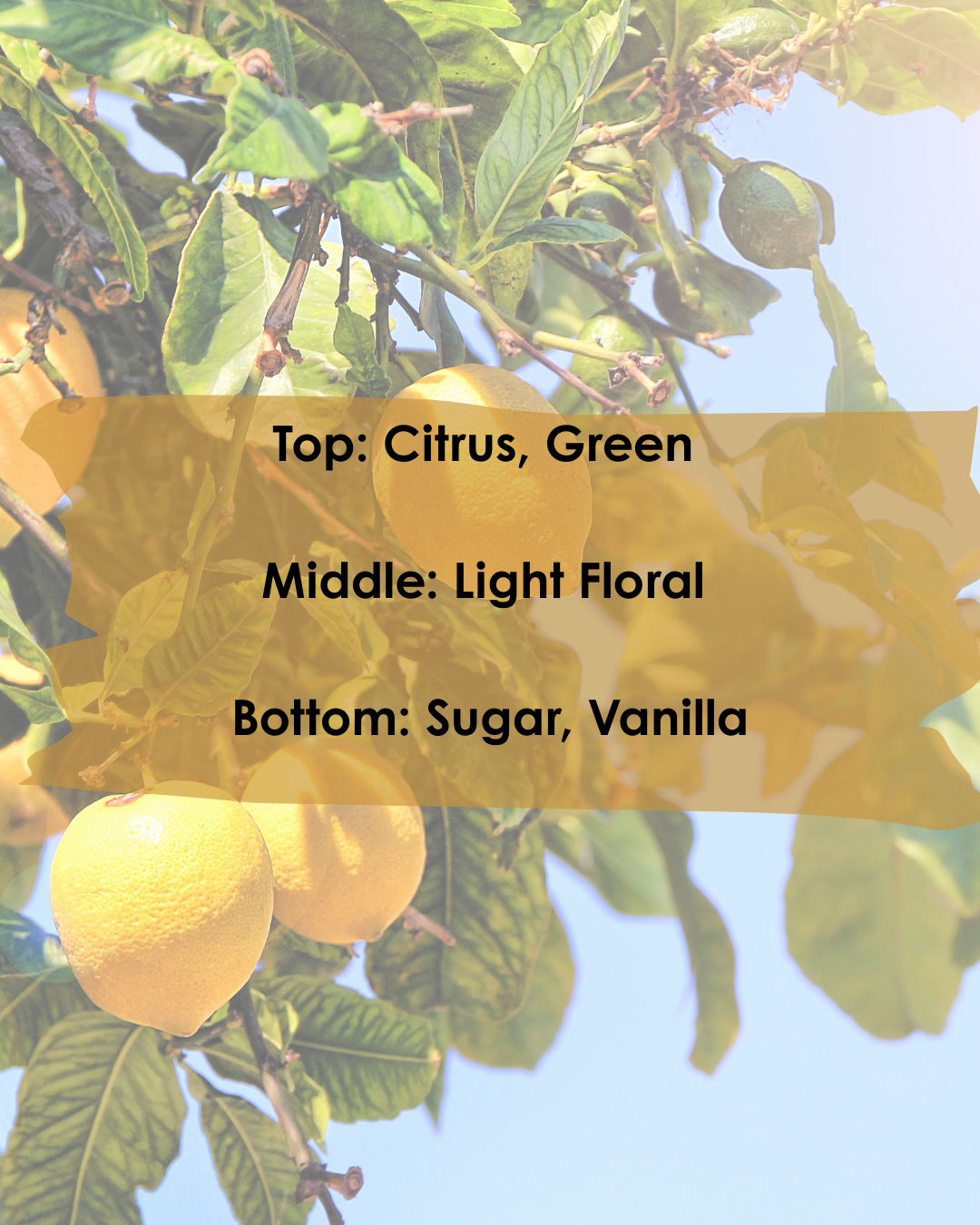 Sweet Lemon Candle - 15.5oz