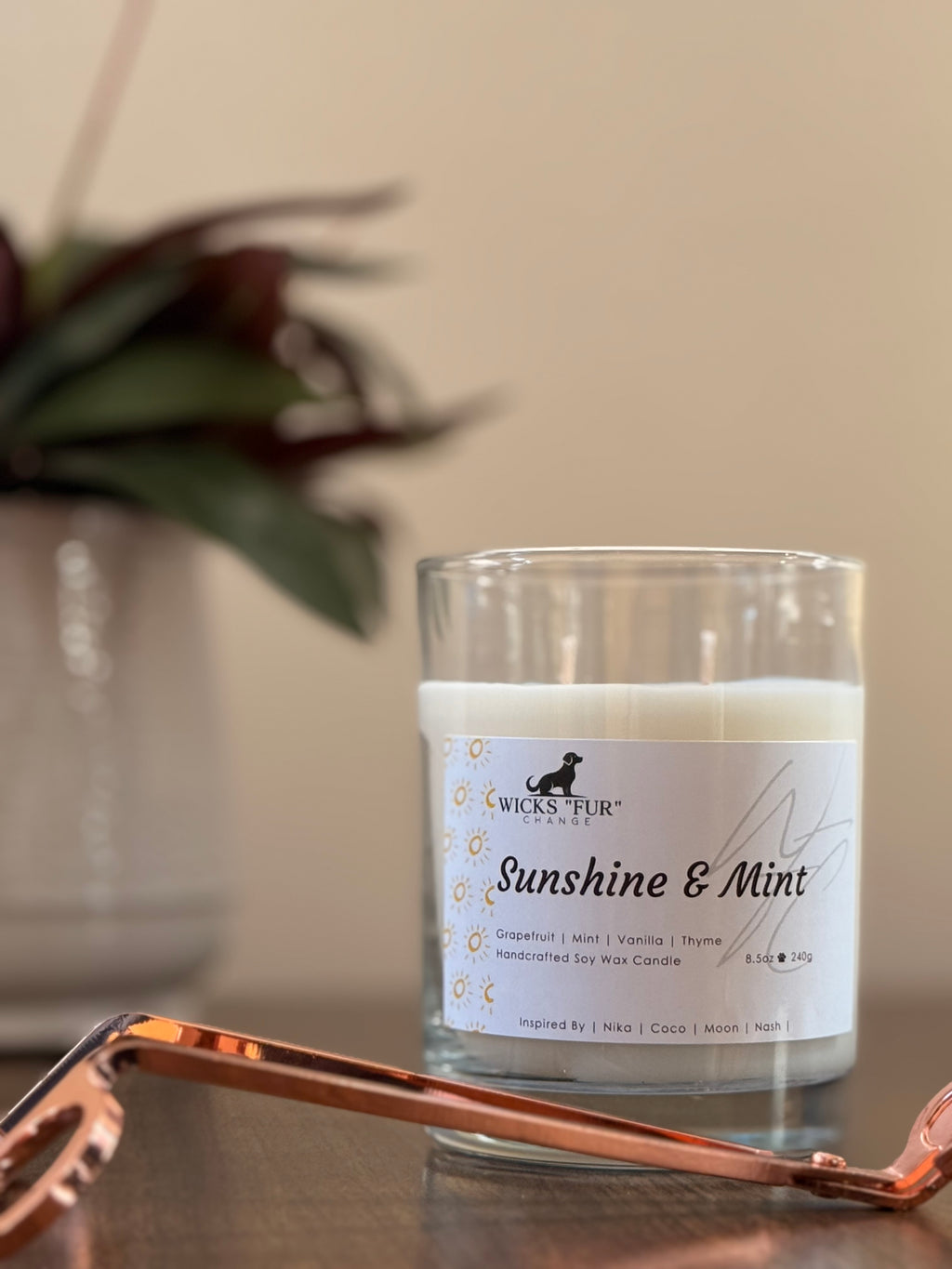 Sunshine + Mint