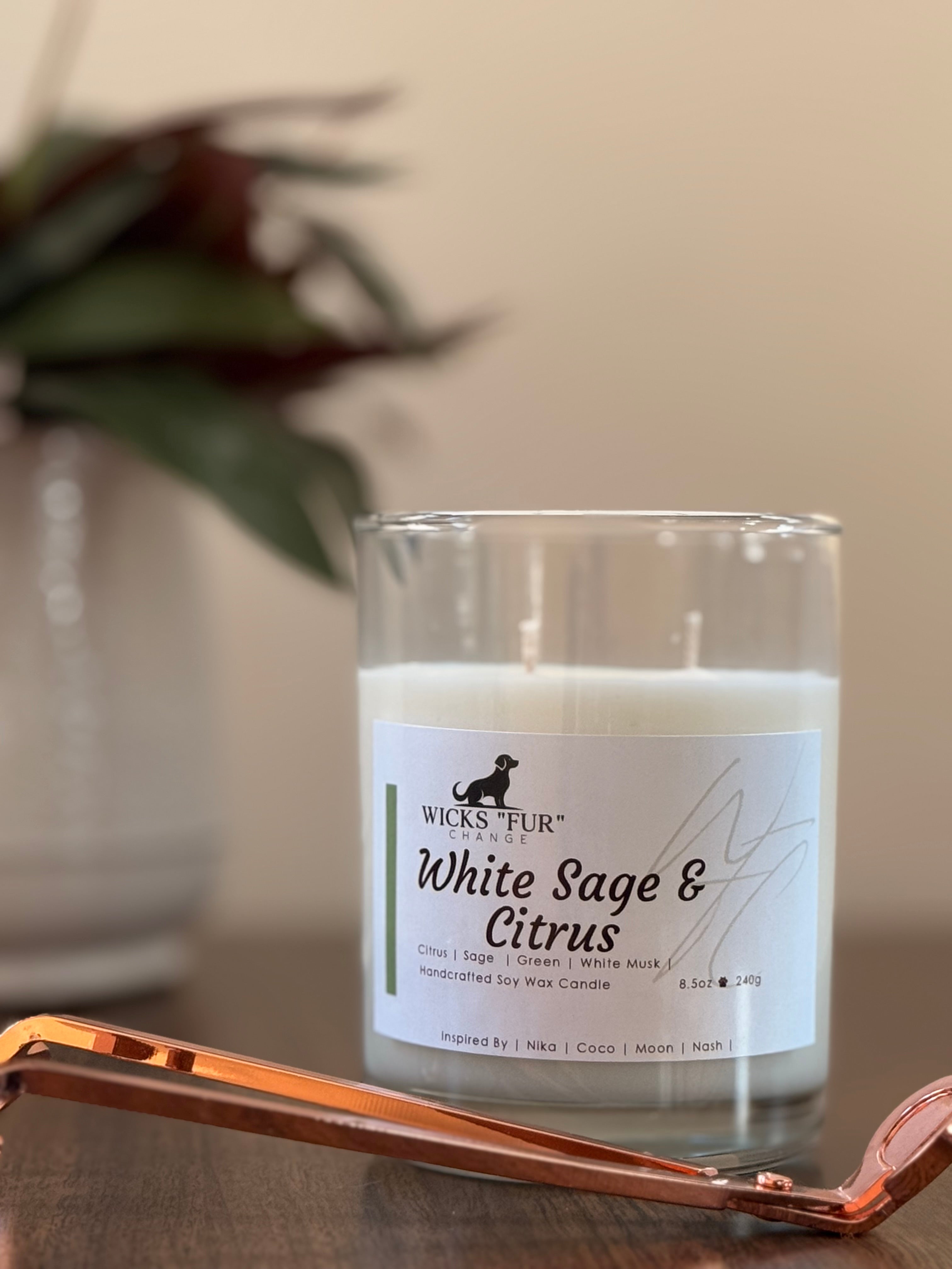 White Sage & Citrus