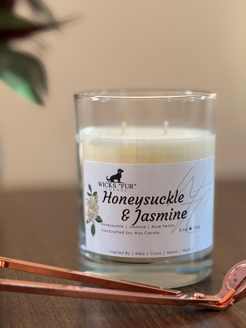 Honeysuckle Jasmine