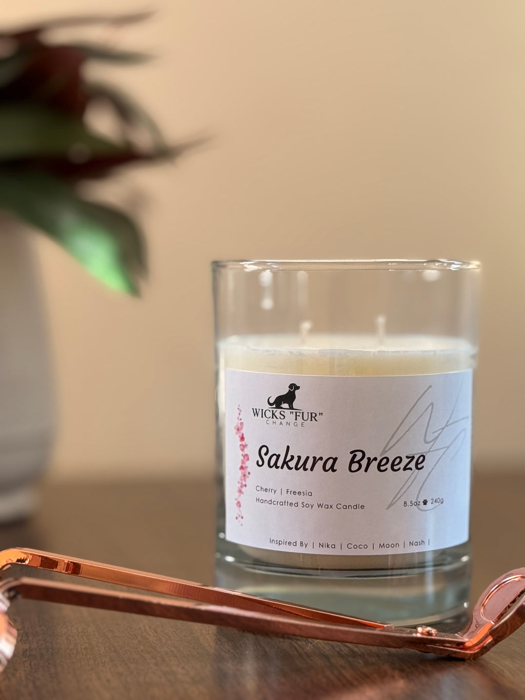 Sakura Breeze