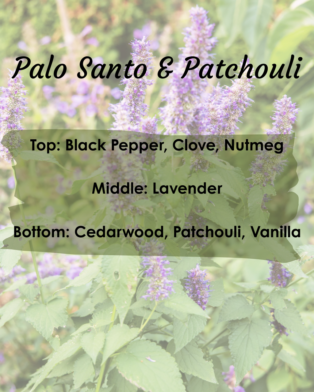 Palo Santo & Patchouli