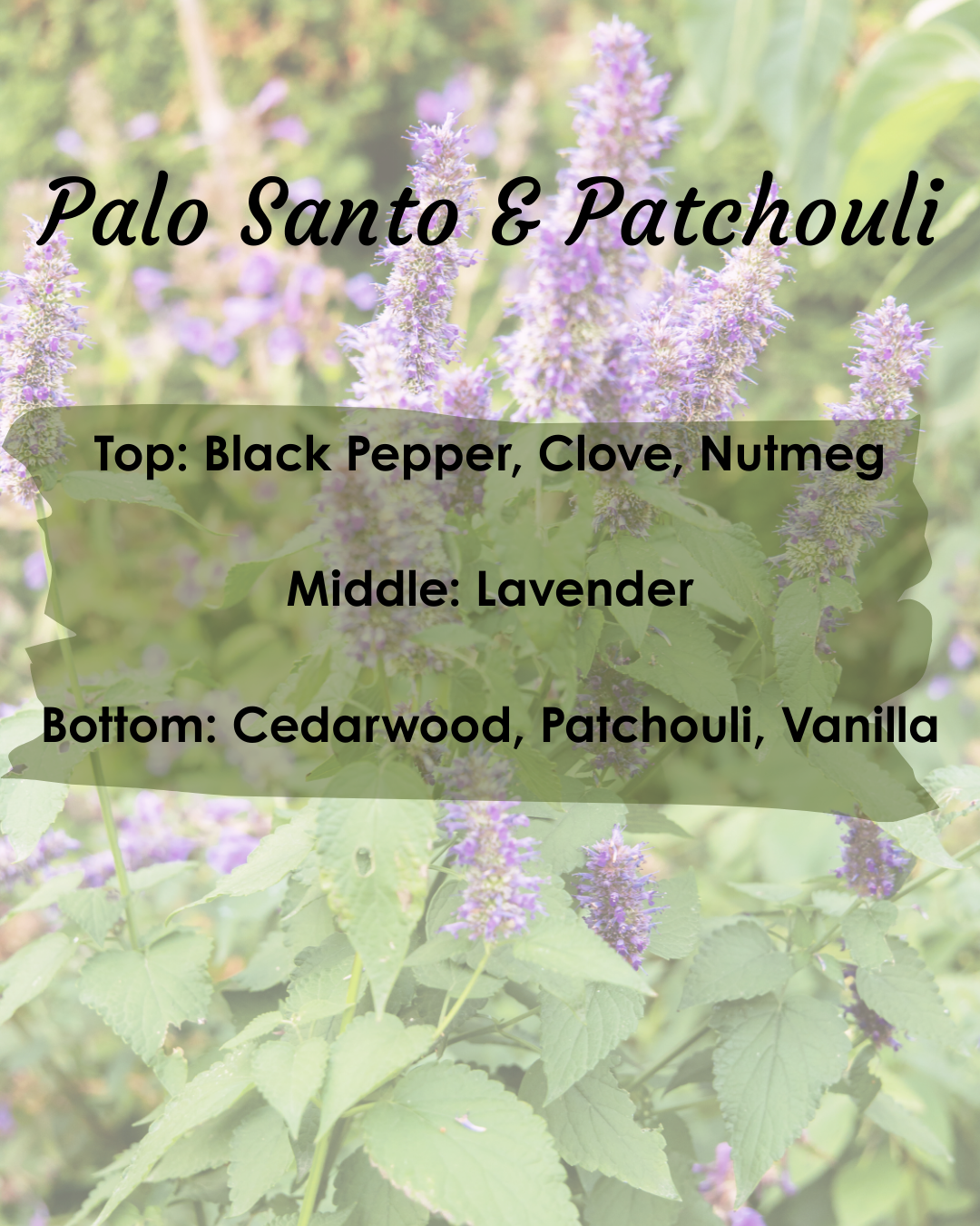 Palo Santo & Patchouli