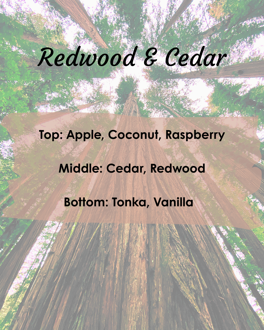 Redwood & Cedar