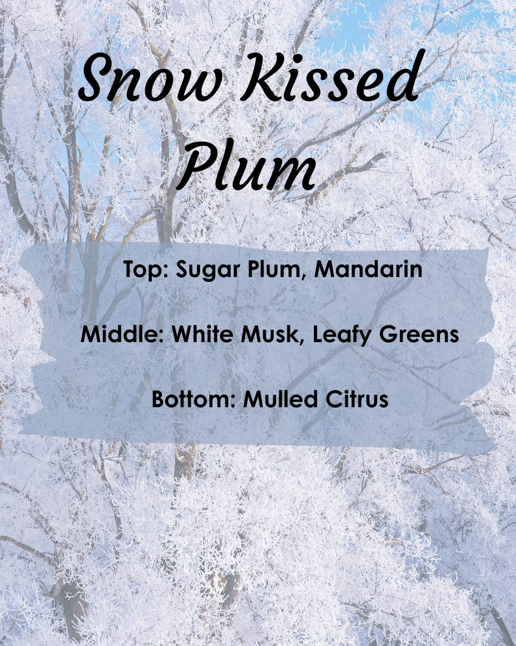 Snow Kissed Plum