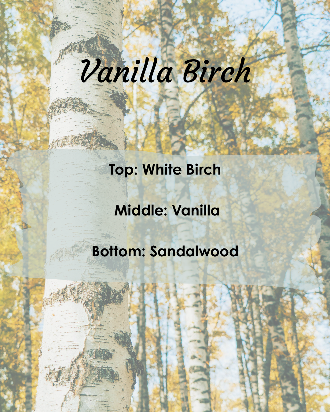 Vanilla Birch
